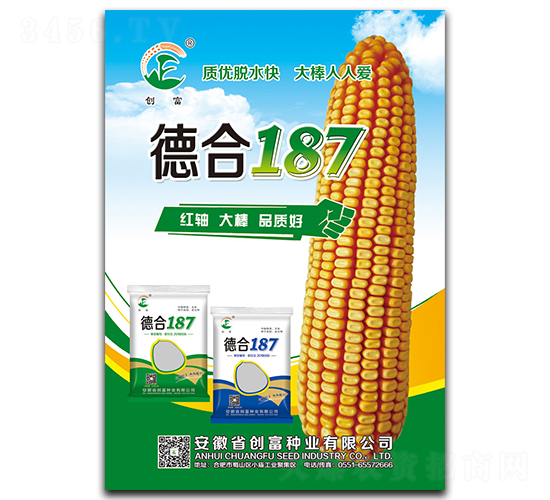 �º�187-��������-������ҵ
