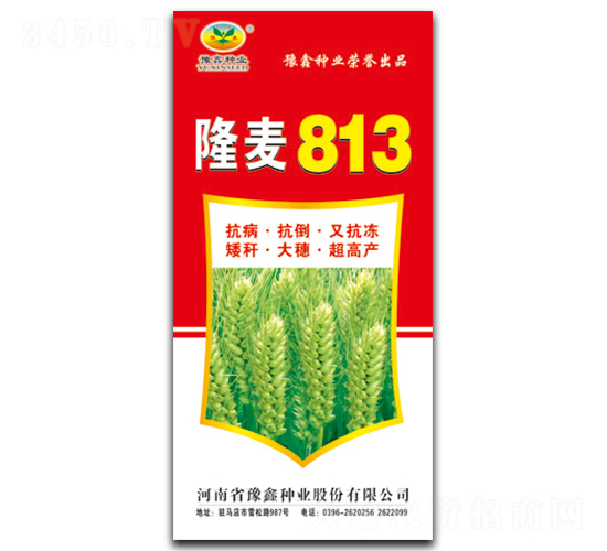 ¡��813-С������-ԥ����ҵ