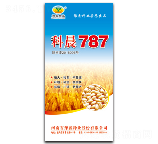 �Ƴ�787-С������-ԥ����ҵ