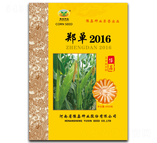 ֣��2016-��������-ԥ����ҵ