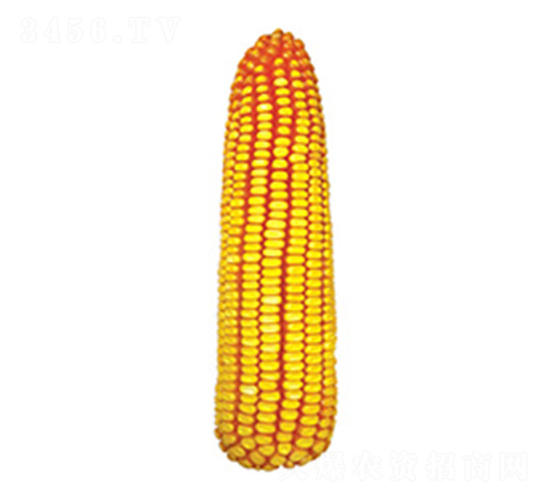 ����718-��������-������ҵ
