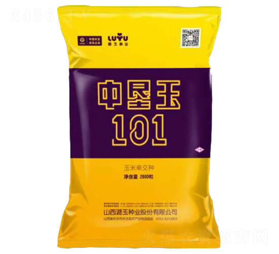�п���101-��������-º����ҵ