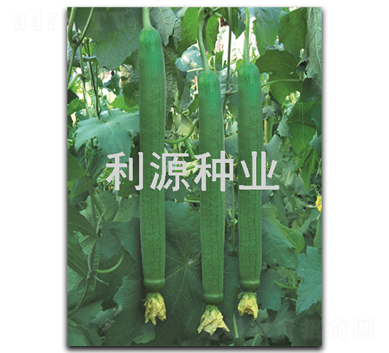 ��Դ˿��-˿������-��Դ��ҵ