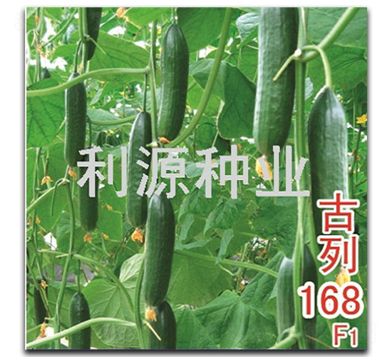 ����168-�ƹ�����-��Դ��ҵ