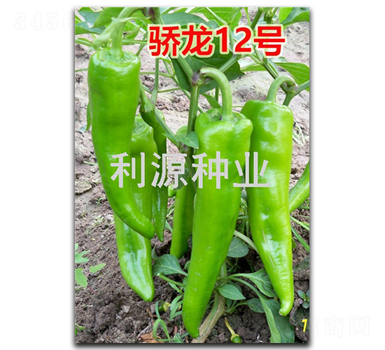 ����12��-��������-��Դ��ҵ