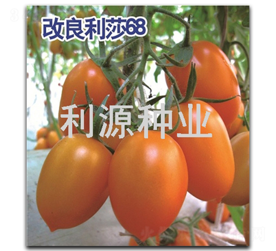 ������ɯ68-��������-��Դ��ҵ