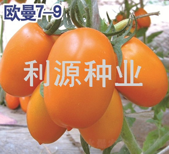 ŷ��7-9-��������-��Դ��ҵ