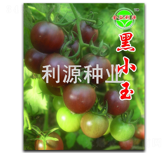�\С��-ӣ�ҷ�������-��Դ��ҵ