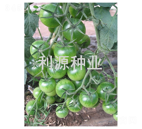 ����-ӣ�ҷ�������-��Դ��ҵ