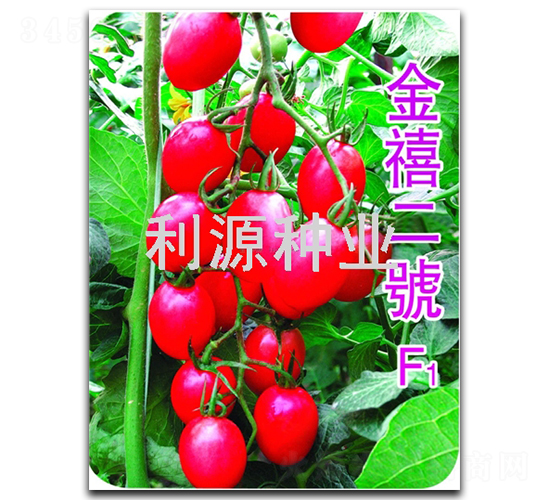 ��������-ӣ�ҷ�������-��Դ��ҵ