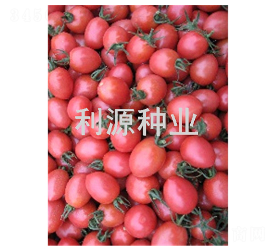 ��������-ӣ�ҷ�������-��Դ��ҵ