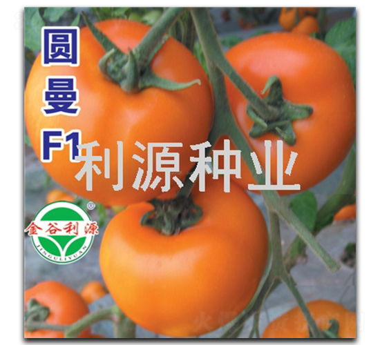 Բ��-��������-��Դ��ҵ