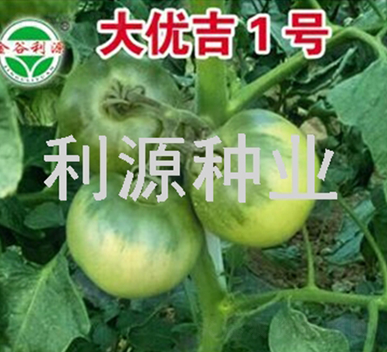 ���ż�1��-��������-��Դ��ҵ