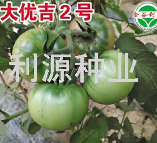 ���ż�2��-��������-��Դ��ҵ