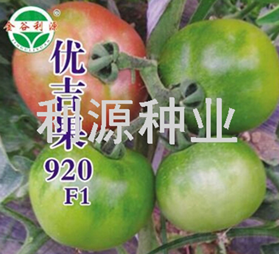 �ż���920-��������-��Դ��ҵ