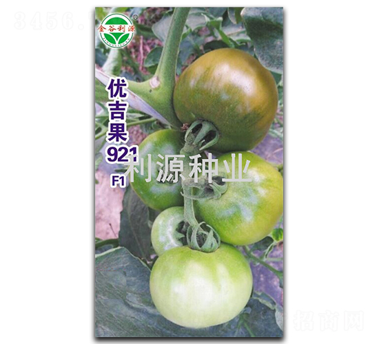 �ż���921-��������-��Դ��ҵ