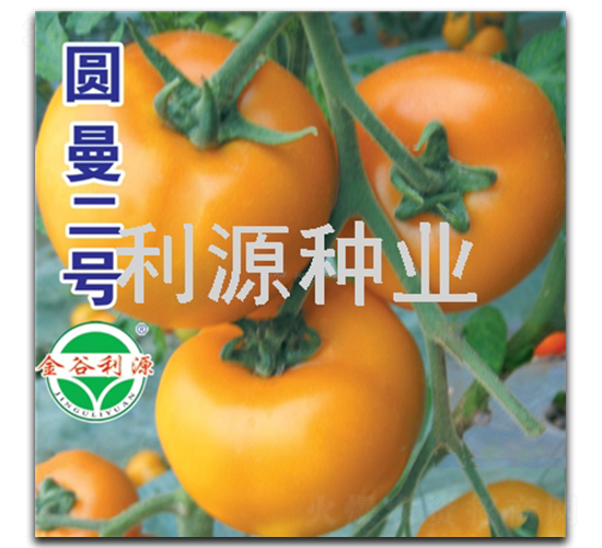 Բ������-��������-��Դ��ҵ