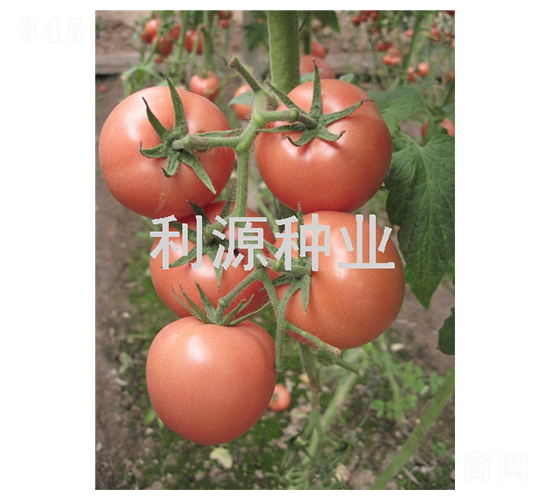 ���2��-��������-��Դ��ҵ