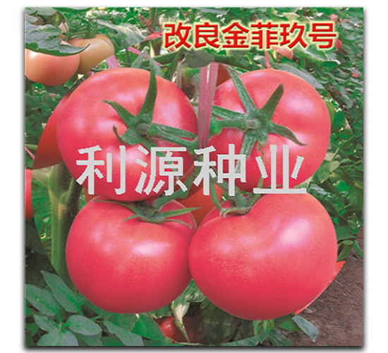 ������ƾ���-��������-��Դ��ҵ