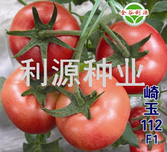 ����112-��������-��Դ��ҵ