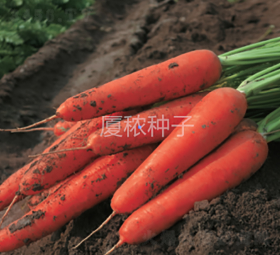 �鸣918-���ܲ�����-�ö�ũҵ