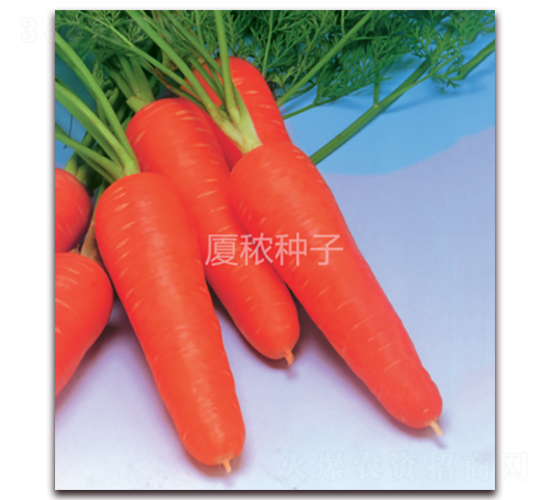 �鸣518-���ܲ�����-�ö�ũҵ