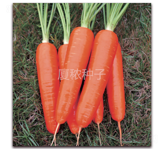 �鸣517-���ܲ�����-�ö�ũҵ