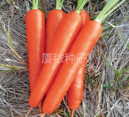 ˳��167-���ܲ�����-�ö�ũҵ