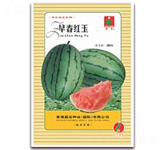 �紺����-��������-��ũ��ҵ