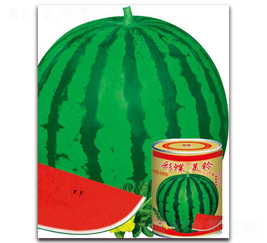 �ʵ�������-��������-��ũ��ҵ