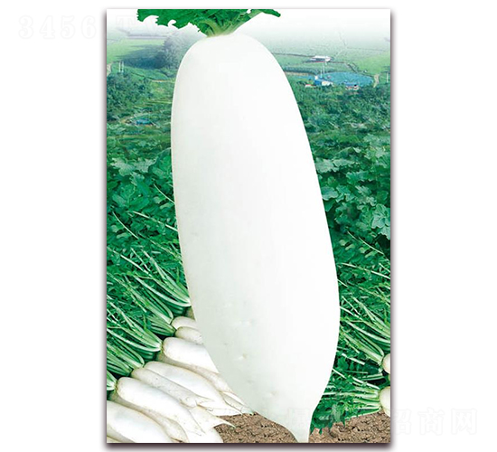 �Ž������ܲ�-���ܲ�����-��ũ��ҵ