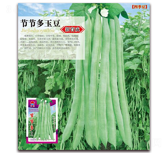 �ڽڶ���-������-��ũ��ҵ