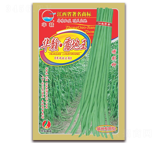 ���ӡ�¶����-��������-��ũ��ҵ