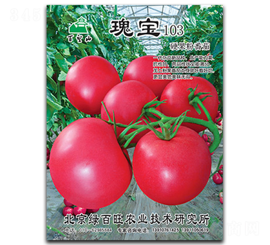 �屦103-��������-�̰���