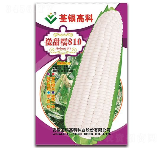 ����Ŵ810-��Ŵ��������-�����ϲ�