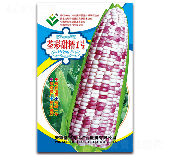������Ŵ1��-��Ŵ��������-�����ϲ�