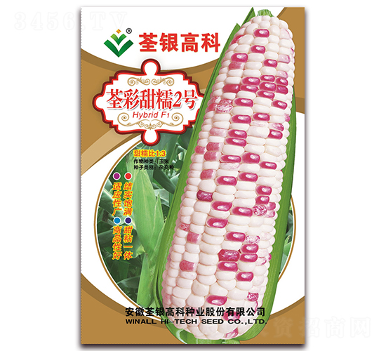 ������Ŵ2��-��Ŵ��������-�����ϲ�