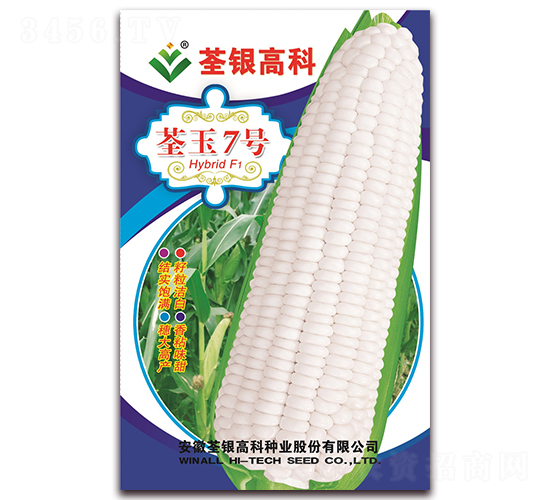 ����7��-Ŵ��������-�����ϲ�
