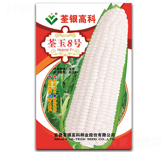 ����8��-Ŵ��������-�����ϲ�