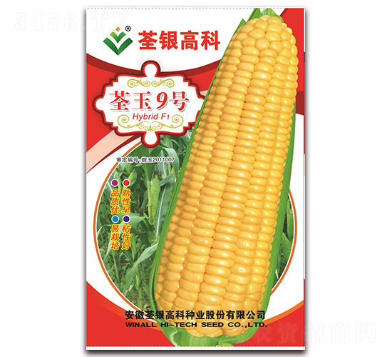 ����9��-Ŵ��������-�����ϲ�