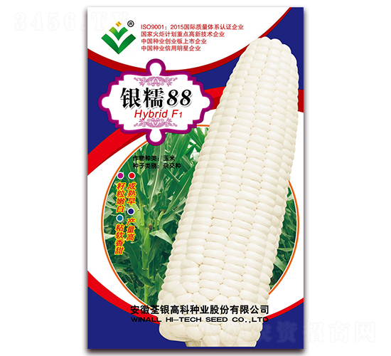 ��Ŵ88-Ŵ��������-�����ϲ�