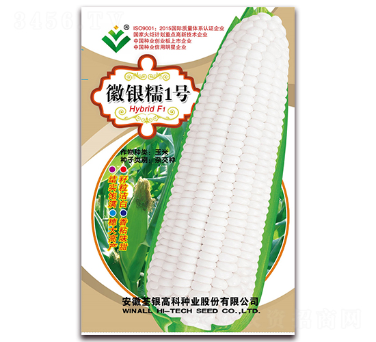����Ŵ1��-Ŵ��������-�����ϲ�