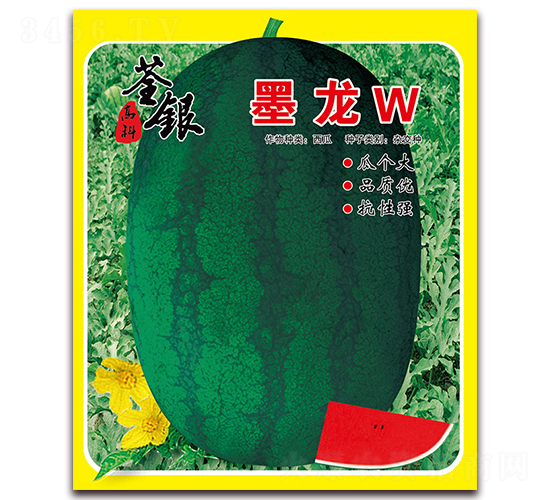 ī��W-��������-�����ϲ�