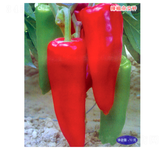 �пƽ�106-��������-������