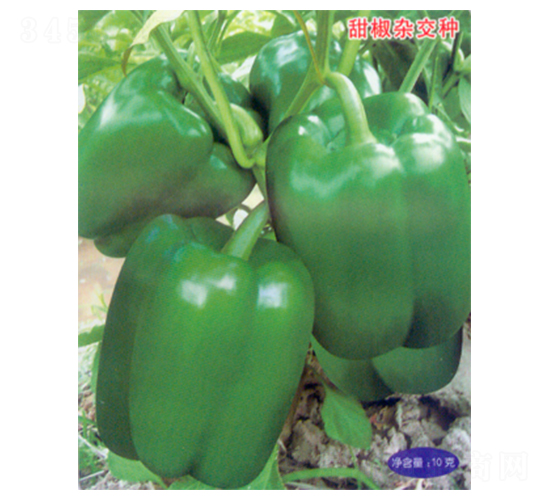 �пƽ�105-��������-������