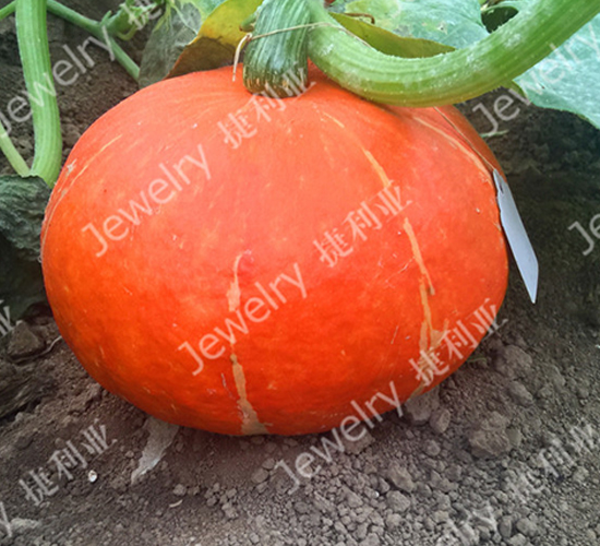 ����121-�Ϲ�����-������