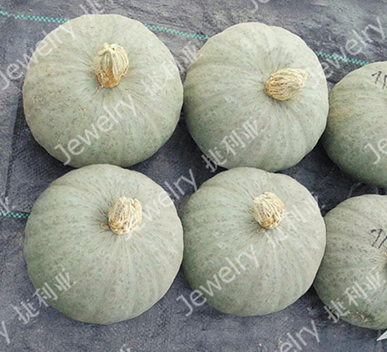 ����161-�Ϲ�����-������