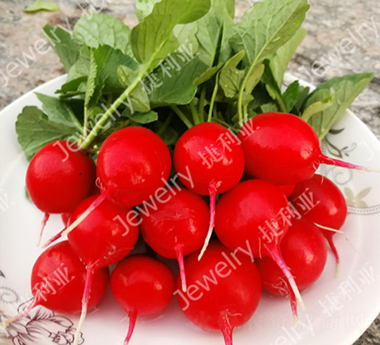 ����3��-ӣ���ܲ�����-������