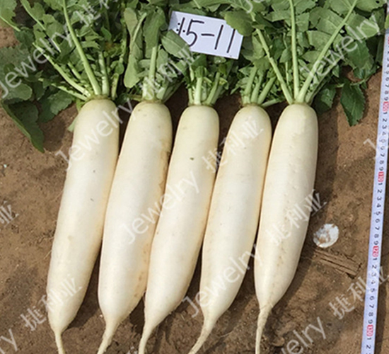 ������1511-�ܲ�����-������