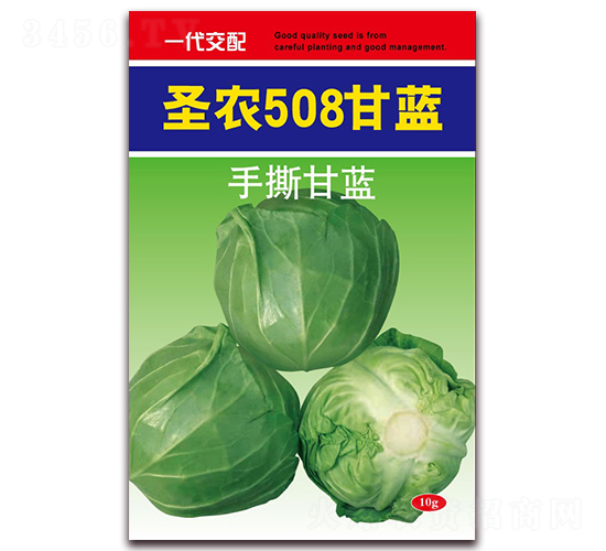 ʥũ508����-��������-ʥũ�߿�
